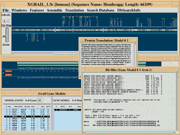 Grail Analysis