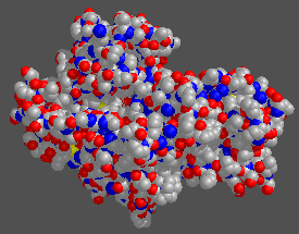 structure polypeptidique primaire