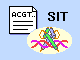 SIT