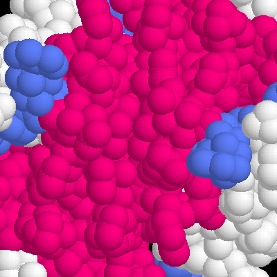 Represenative Shuler Represenative Images