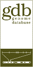 GDB