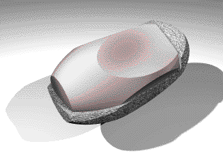 Image10.gif (15222 �Ӧ줸��)