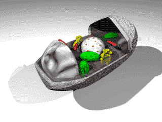 Image11.gif (14952 �Ӧ줸��)