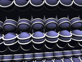 Image18.gif (21016 �Ӧ줸��)