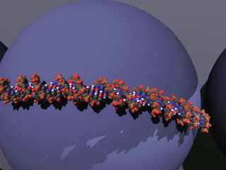 Image19.gif (29580 �Ӧ줸��)