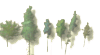 tree.gif (3213 bytes)