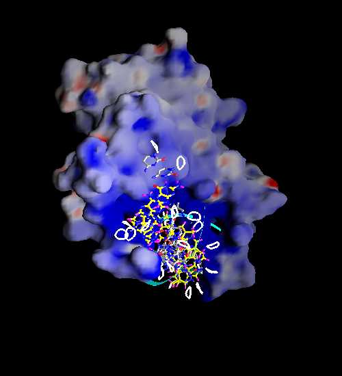 the model of molecular surface colored by electrostatic potential from Graphical Representation and Analysis of Structure Server at Columbia university