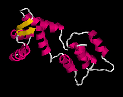 The Protein Story