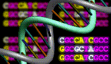 dna-1.gif (11523 bytes)