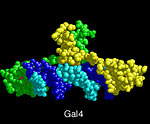 1d66.pdb