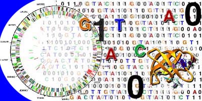 Structural Genomics and the Pharmaceutical Industry Workshop: November 18, 1999